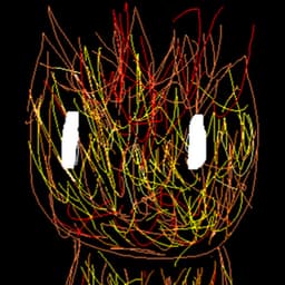fireydude